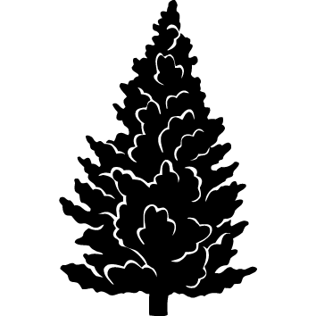 Sticker arbre : 15